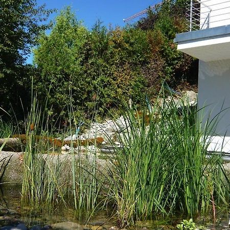 N1 Standalone House Baden Apartamento Hertenstein Exterior foto