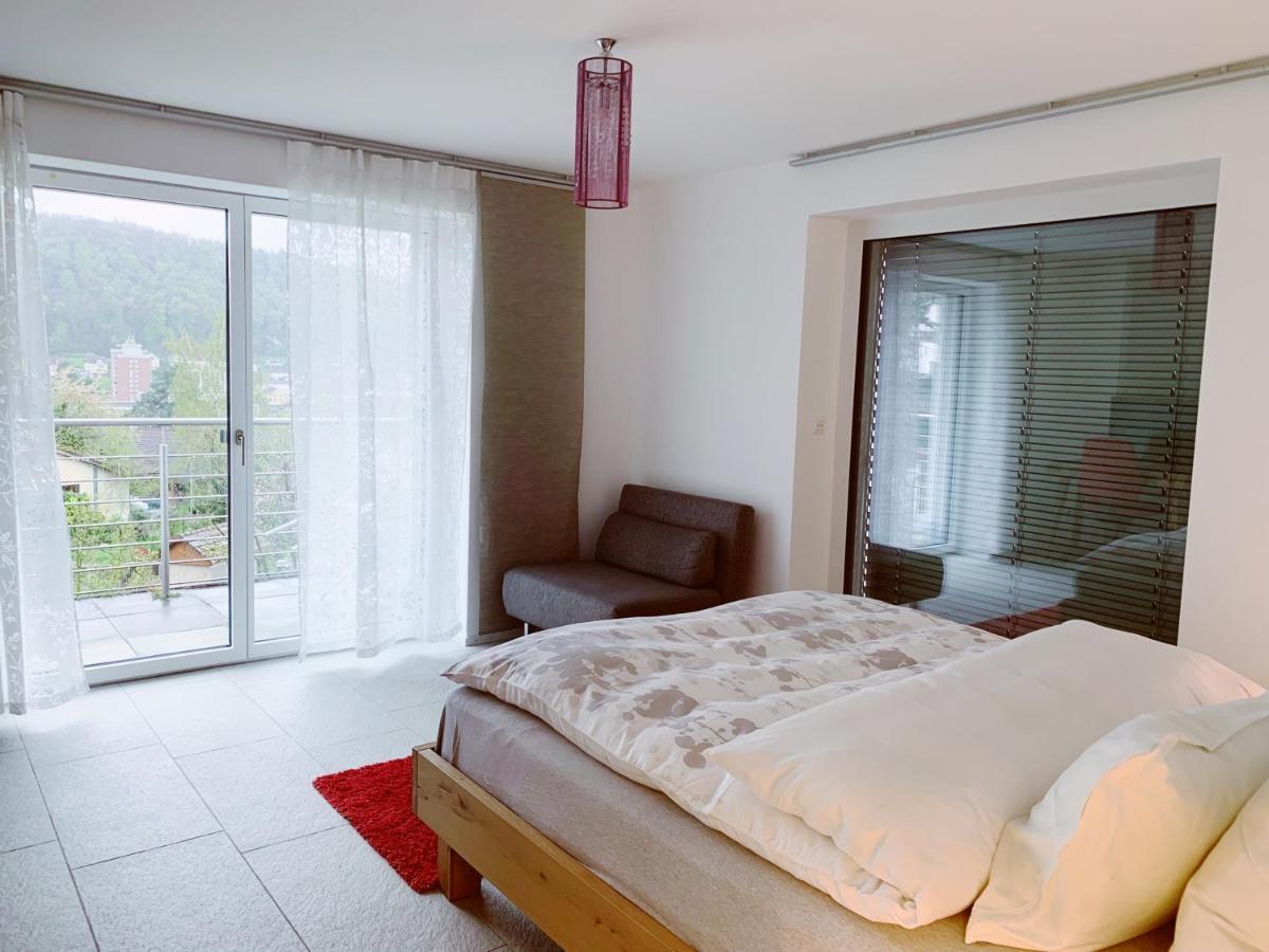 N1 Standalone House Baden Apartamento Hertenstein Exterior foto