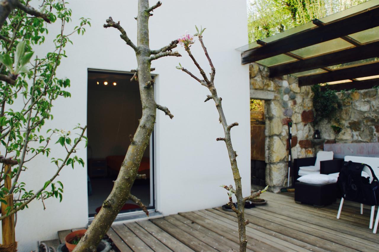 N1 Standalone House Baden Apartamento Hertenstein Exterior foto